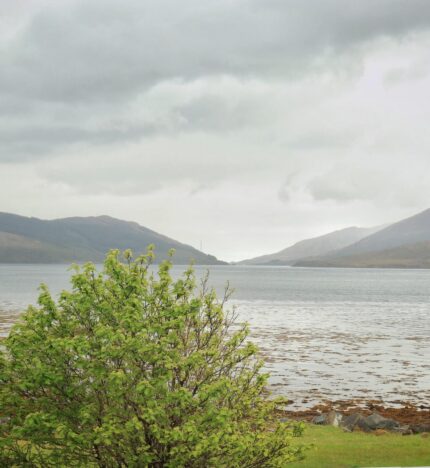 Scenic view of a tranquil loch and hills from Balmacara hotel, with lush greenery in the foreground.