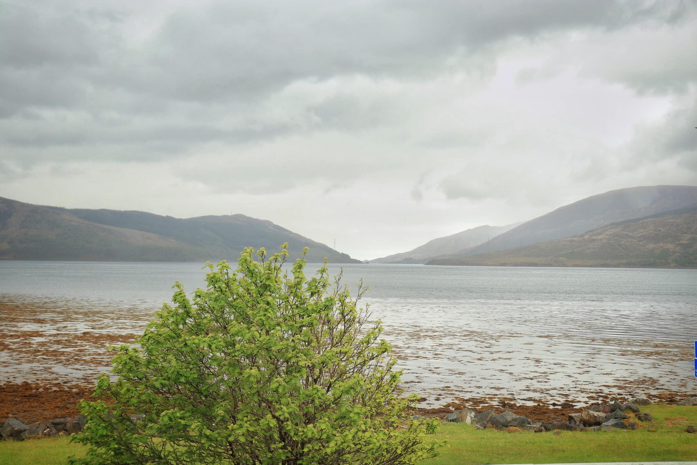 Scenic view of a tranquil loch and hills from Balmacara hotel, with lush greenery in the foreground.